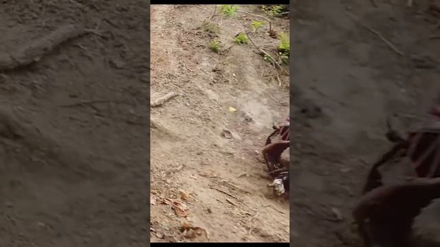 RC car crash cross RC Demon