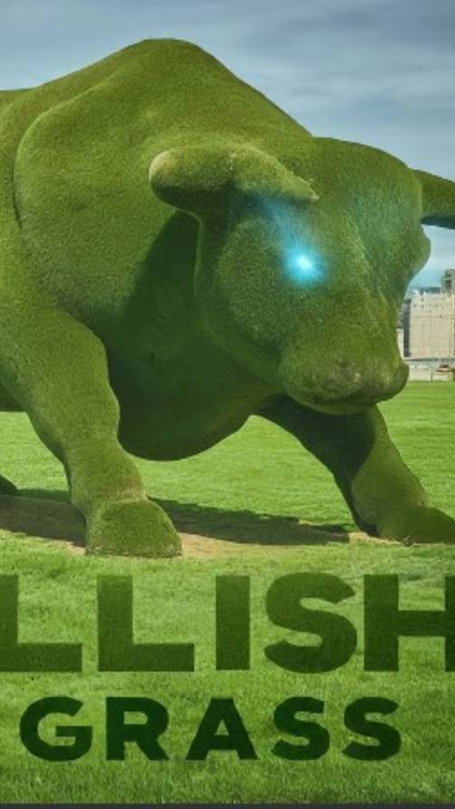 Grass code: hO6X8PH6KdXuw6Z