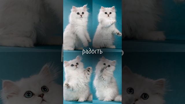 А какие у вас  планы?🤗🫠