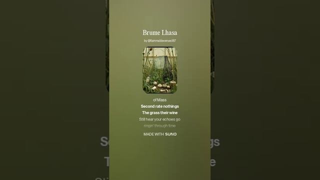 Brume Lhasa_lite