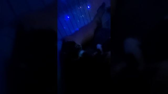 Буся смотрит мультик