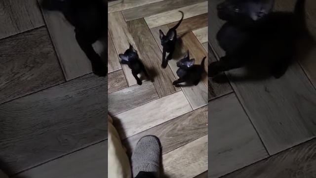 1000021111.mp4