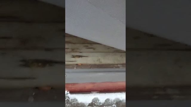 Окна скрин г.Ижевск