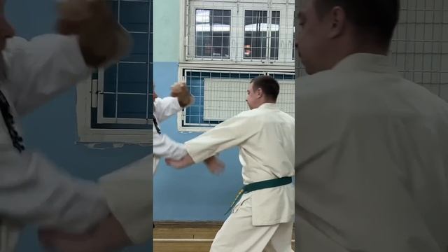 Кёкусинкай #437 / Центр Поларбудо / Самозащита на основе Сюто маэ маваси-укэ (3.01.25)