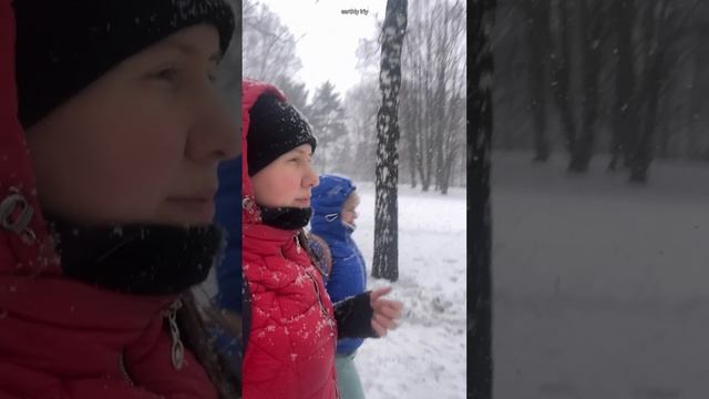 Снежный день #земнойирий #новыйгод #парк #прогулка