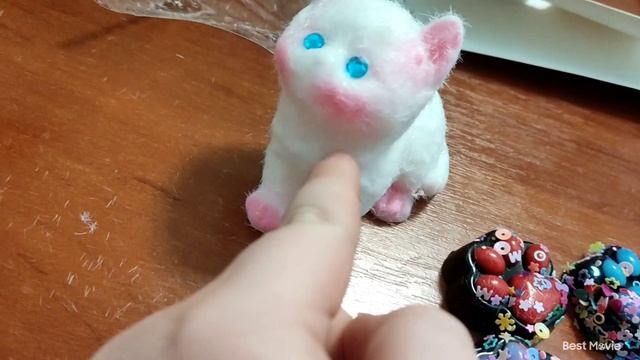 ещё одни новые тапо лапки