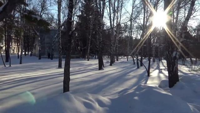 С Новым Годом от DSO!