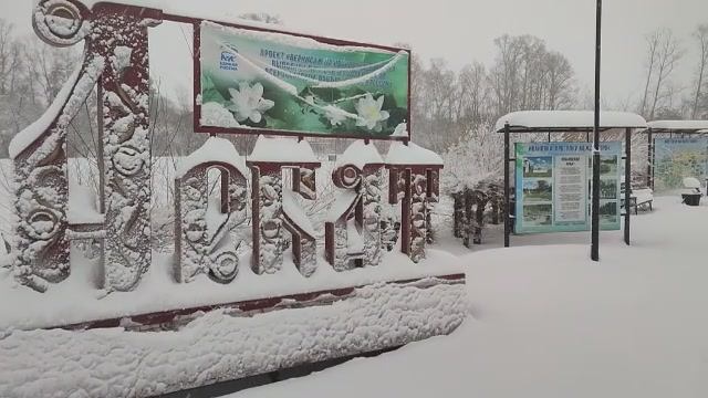 Снегопад в Ивановке сегодня, снегопад!