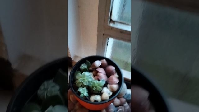 Альпийское чудо северной Италии