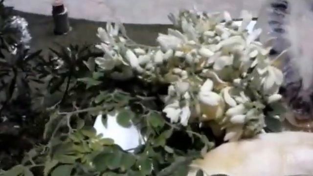 Доминикана! Живите вкусно и красиво!
