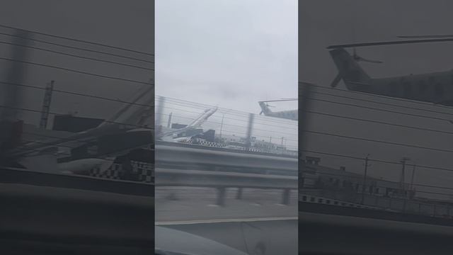 Поездка На Юг сборка Дворец