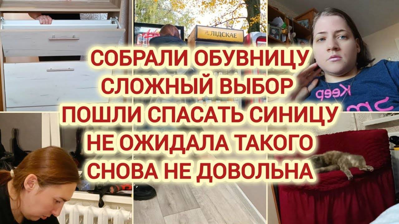 VLOG | СОБРАЛИ ОБУВНИЦУ | СЛОЖНЫЙ ВЫБОР | ПОШЛИ СПАСАТЬ СИНИЦУ | НЕ ОЖИДАЛА ТАКОГО | СНОВА НЕ...