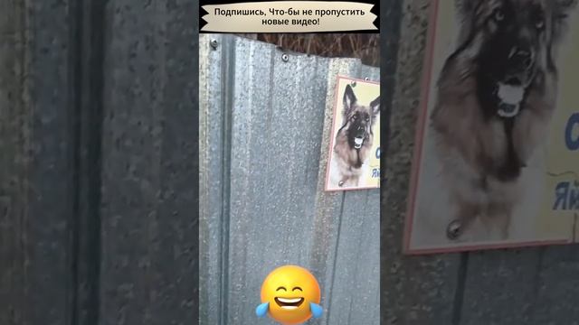 Собакин клац