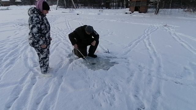Светлые Горы Щука 05.01.2025г.