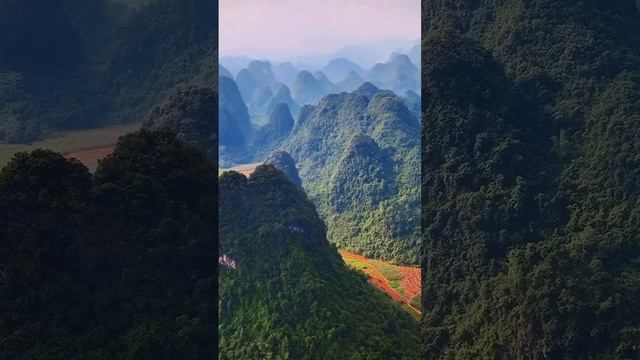 Вьетнам🇻🇳