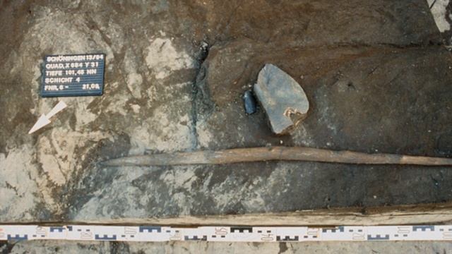 Археологи раскопали охотничью палку возрастом 300 000 лет