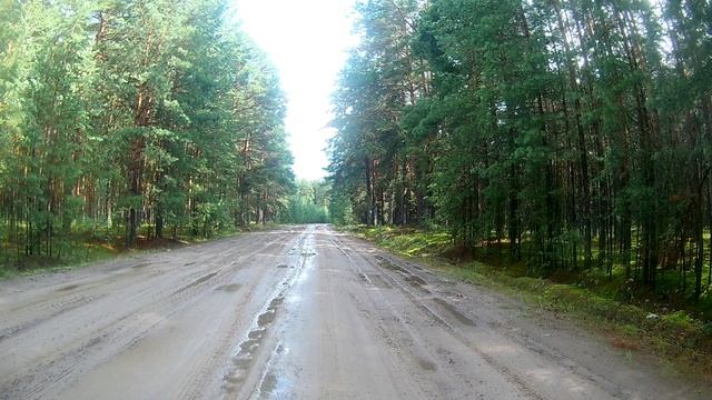 В леса за Юргу. День 6-й
