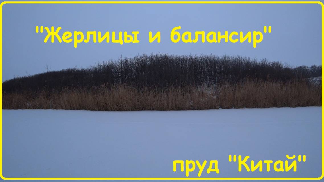 "Жерлицы на пруду "Китай"