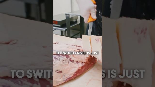 Pro Butchers VS Amazons Cheapest Knives! #shorts #butcher