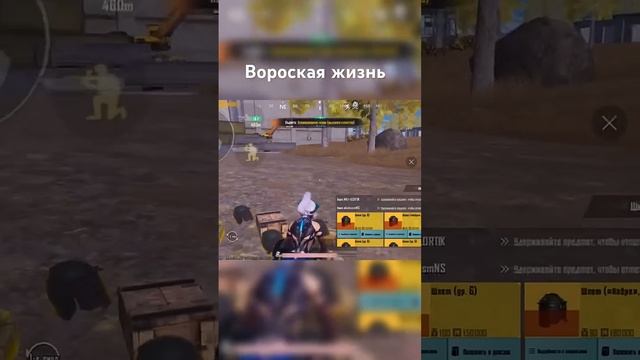 Часики тикают #memes #funny #тиктокприколы #funnyanimal #тренды #flint #тре #meme #пабг #метро