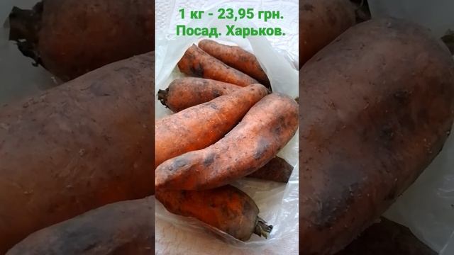 #морковь #морковка #морковный #продуктыпитания #продукты #ценынапродукты #ценывукраине #carrots