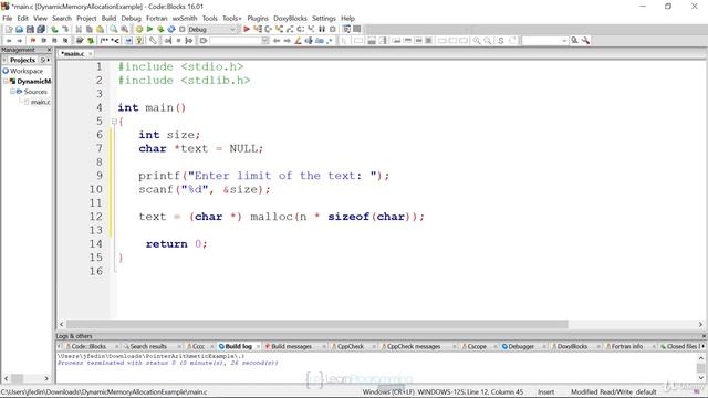 99 Demonstration Using Dynamic Memory