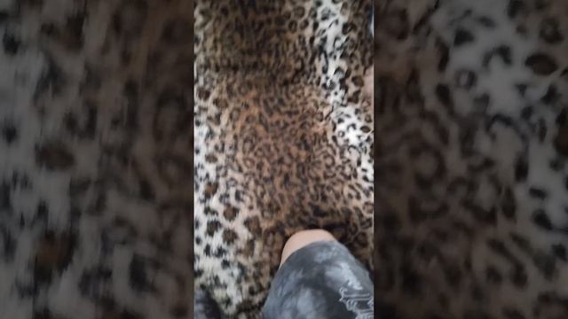 у нас на канале пять подписчиков🥳🥳