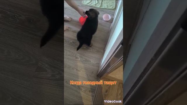 1001023879.mp4