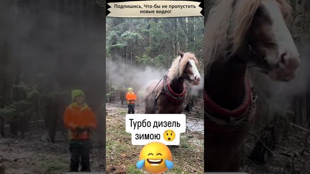 Турбо конь