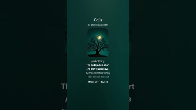 Coils_lite