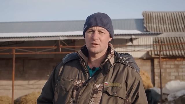 Мини ферма коров в сельской глубинке_720pFHR