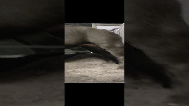 VID20250105084011.mp4
