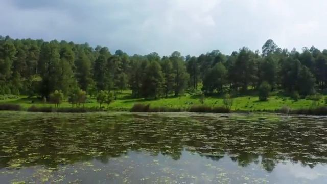 Построение коллективного будущего..Софоос. чен. 05.06.2024 г. Конгломератный Разум.mp4