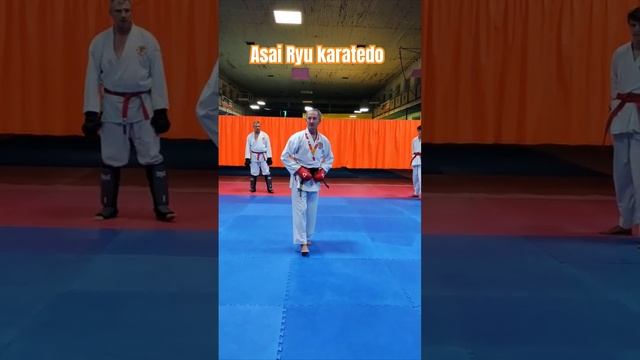 Подводящие упражнения для кумитэ. Asai Ryu karatedo. #asairyu #karate #каратэ