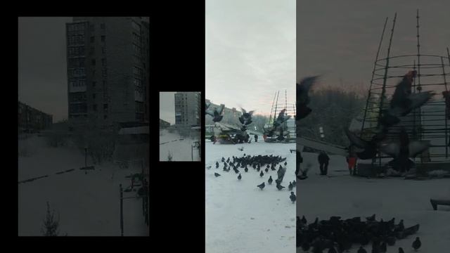 2025-01-05-101741048.mp4 Елена Дружиненко Прекрасная Воркута!