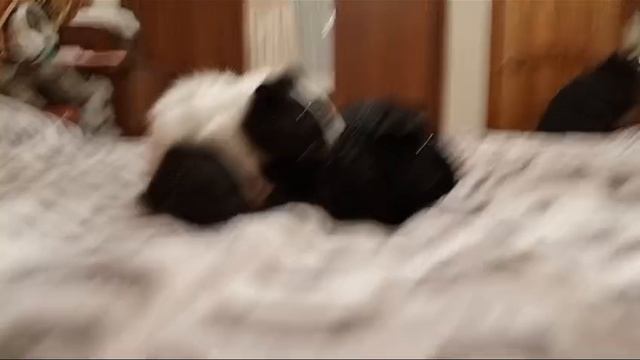 Облачко сидит верхом на Тучке