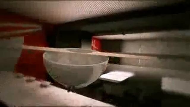 ¿Qué ocurre en #UDON cuando termina el día? ¡Buenísimo!