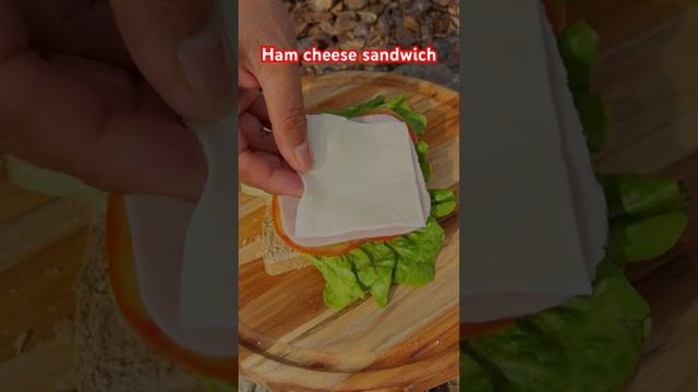 Ham cheese sandwich 3$