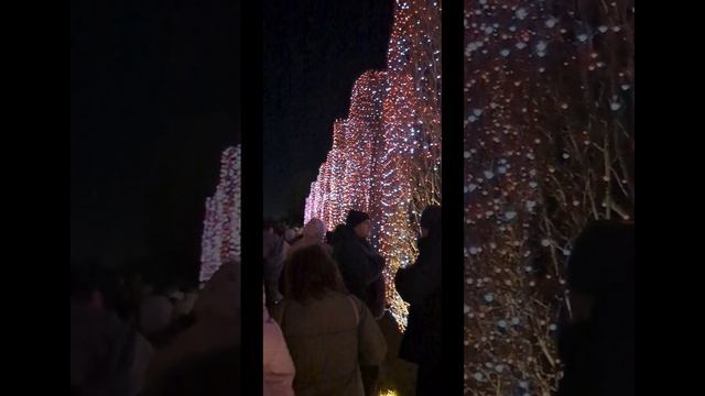 Краснодар, парк Галицкого
