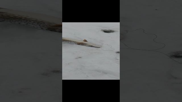 1000007222.mp4