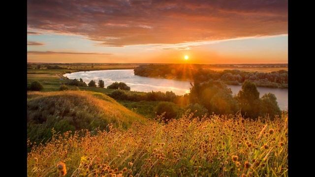 Песня Сергея Ларина «Спасёт красота»