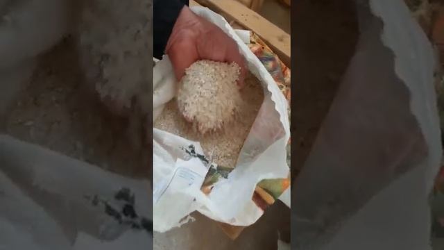 Кызылординской РИС ЛИДЕР от Стола заказов АЛТЫН ЖАЙЛЯУ недорого