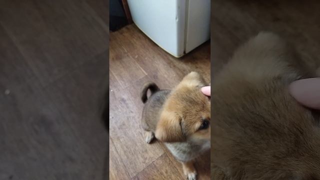 1000095452.mp4