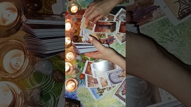 Анастасия и Антон почему молчит