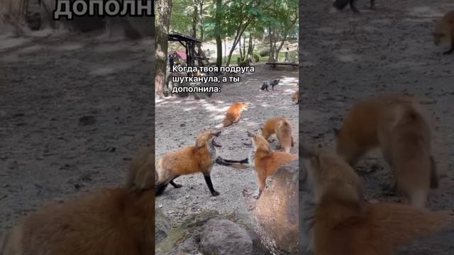 1000386271.mp4