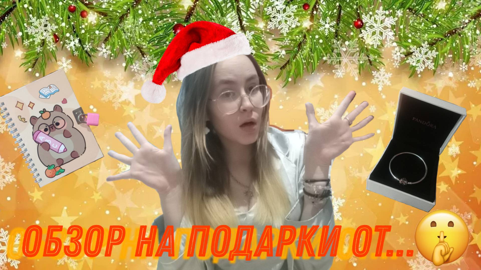 Новогодний обзор || подарки на Новый год