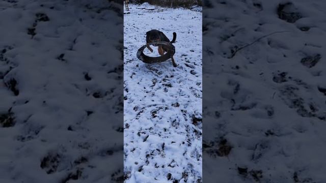 video_2023-10-26_17-25-37