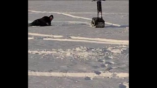 Осваиваю мотосноуборд как могу.