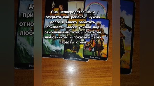 1001508351.mp4