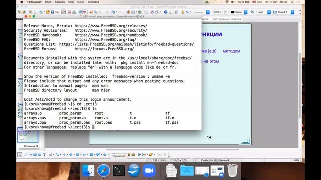 Язык Pascal (Паскаль). Функции. Процедуры. Модули. Лекция №13